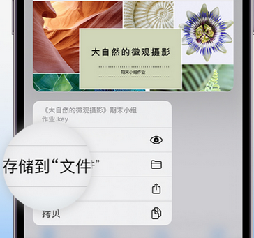 泾川apple维修中心分享iPhone文件应用中存储和找到下载文件