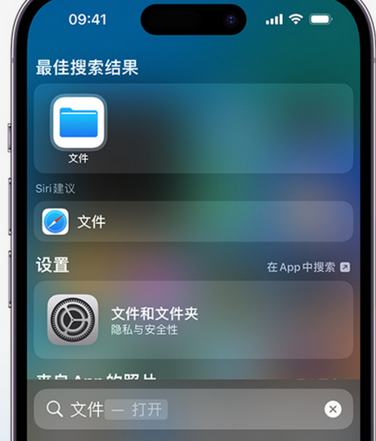 泾川apple维修中心分享iPhone文件应用中存储和找到下载文件