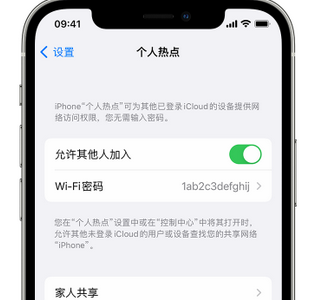 泾川apple服务站点分享iPhone上个人热点丢失了怎么办 