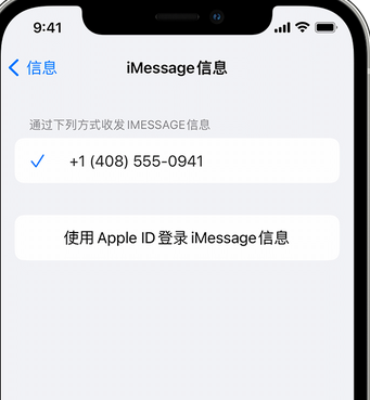 泾川apple维修iPhone上无法正常发送iMessage信息 