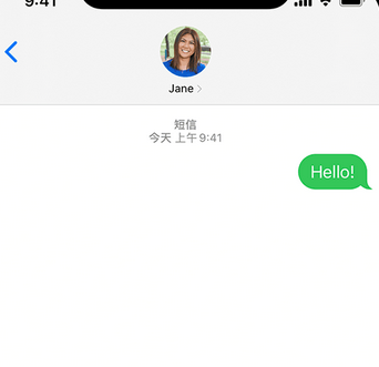 泾川apple维修iPhone上无法正常发送iMessage信息