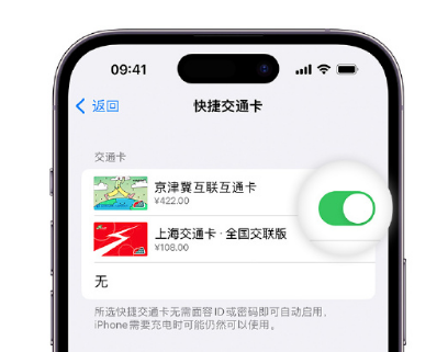 泾川apple维修点分享iPhone上更换Apple Pay快捷交通卡手绘卡面 