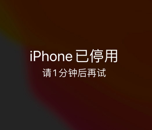 泾川苹果手机维修分享:iPhone 显示“不可用”或“已停用”怎么办？还能保留数据吗？ 