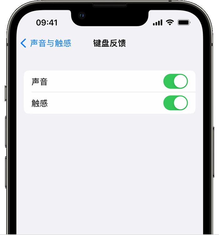 泾川苹果14维修店分享如何在 iPhone 14 机型中使用触感键盘 