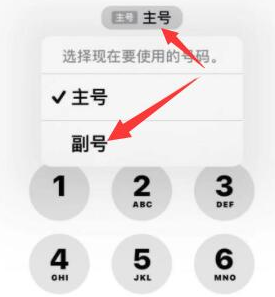 泾川苹果14维修店分享iPhone 14 Pro Max使用副卡打电话的方法 