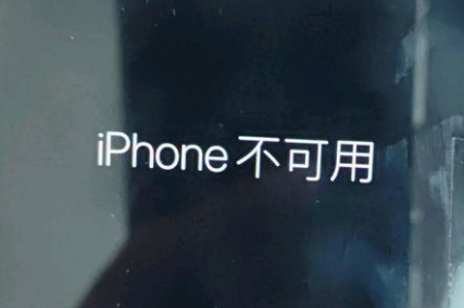 泾川苹果服务网点分享锁屏界面显示“iPhone 不可用”如何解决 