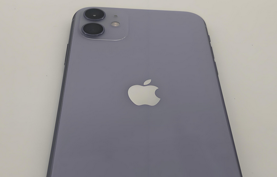 泾川苹果11系统维修分享iPhone11手机系统崩溃无法开机如何解决